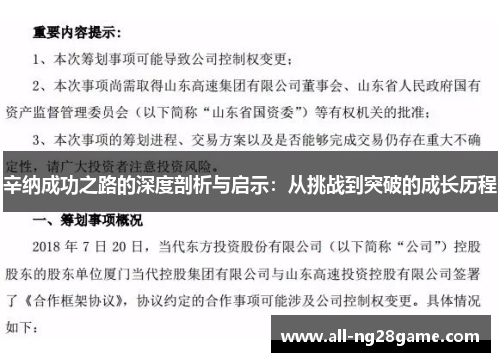辛纳成功之路的深度剖析与启示：从挑战到突破的成长历程